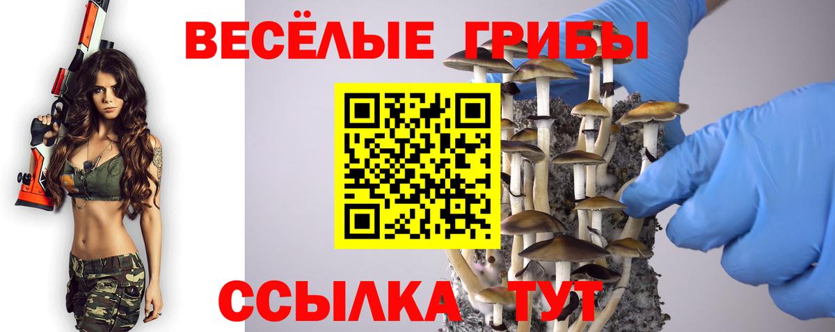 где купить наркоту  Галлюциногенные грибы Magic Shrooms  Вход с VPN  Тавда 