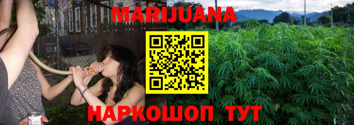 Бошки Шишки индика  Конопля семена  Вход с VPN  Канабис Bruce Banner  Бошки марихуана конопля  Тавда 